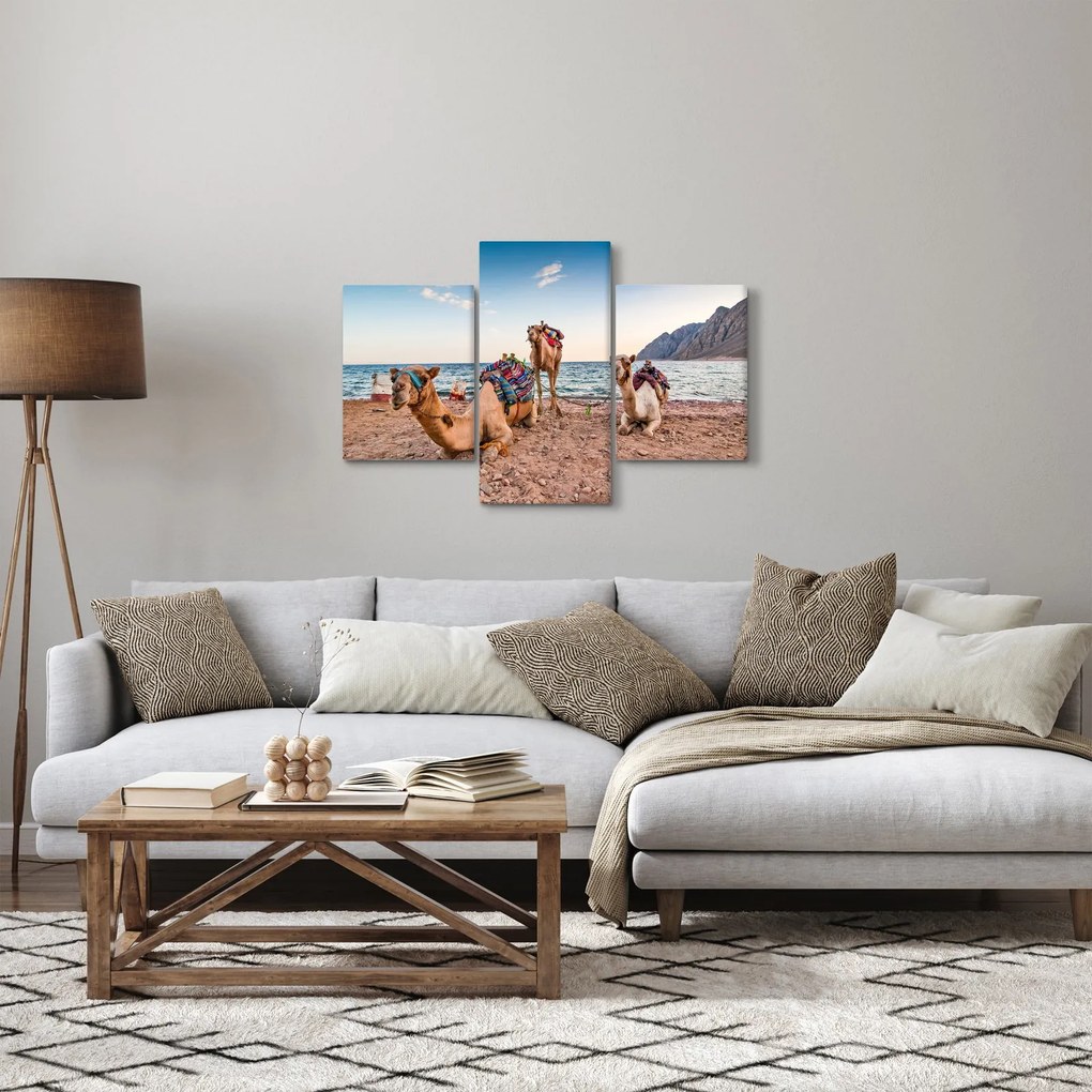 A tevék képe (90x60 cm)