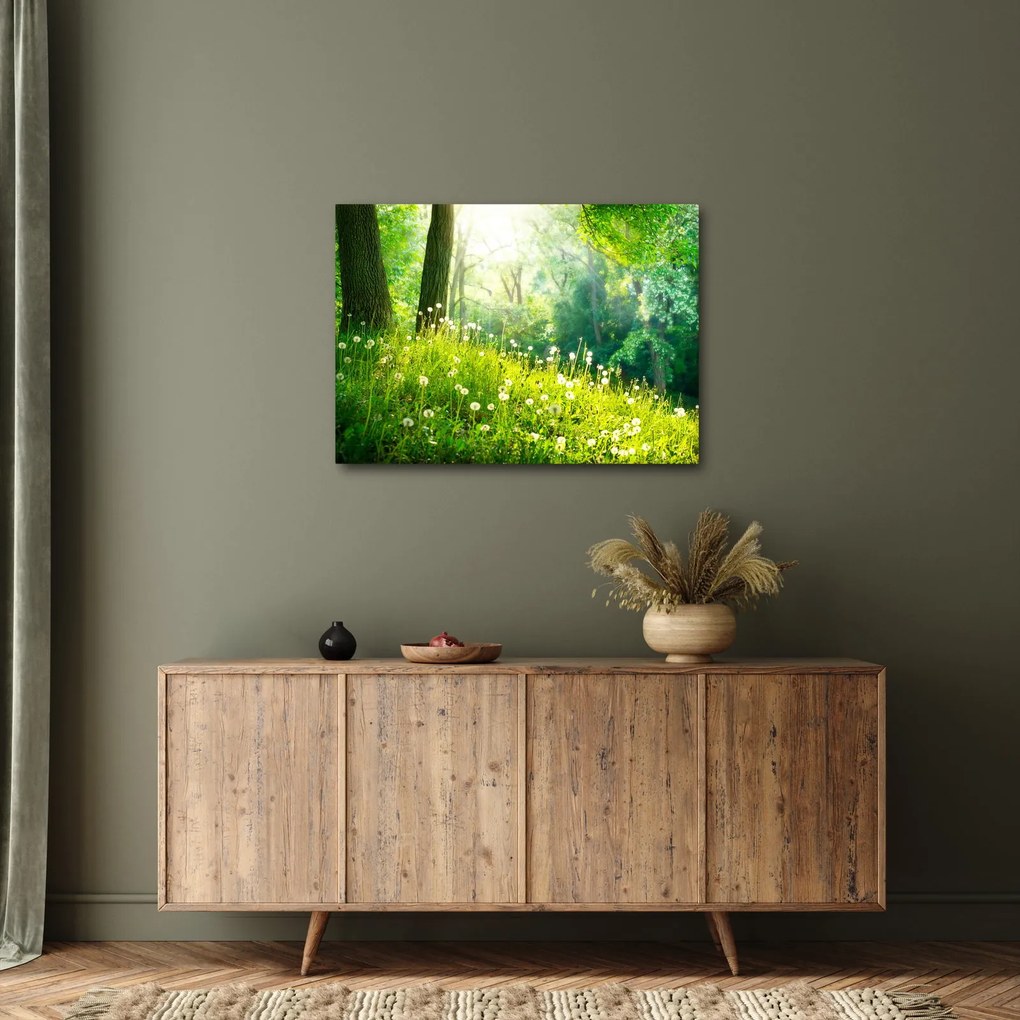 Kép - Varázslatos rét tele pitypanggal (70x50 cm)