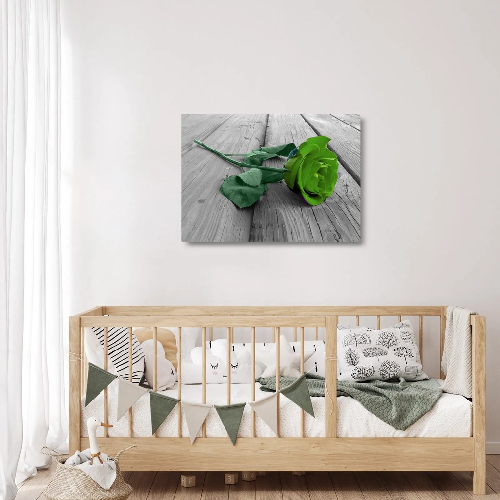 Üveg kép - Zöld rózsa (70x50 cm)