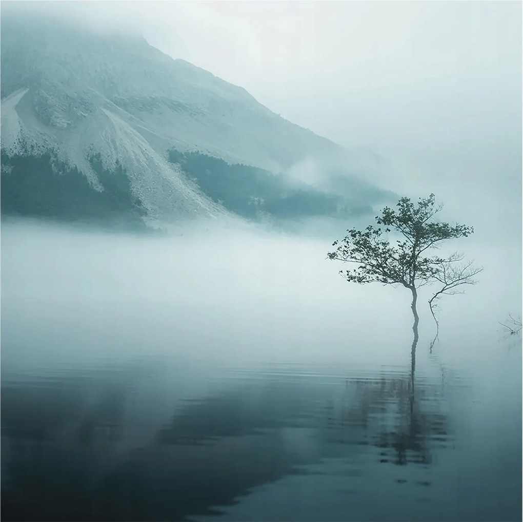 Fotótapéta Flizelin Dekoratív tapéta A természet misztikuma 250x250 Ragasztó