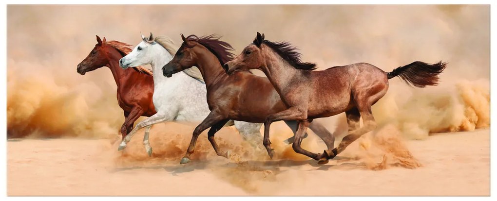 Gario Vászonkép Gyönyöru lovak állománya Méret: 100 x 70 cm