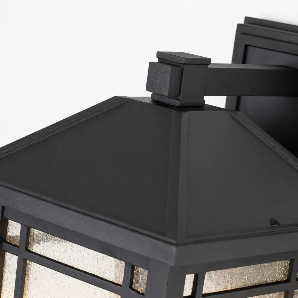 Quoizel Cedar Point QZ-CEDAR-POINT-L-BK Fali lámpa 1x60W/E27 IP44