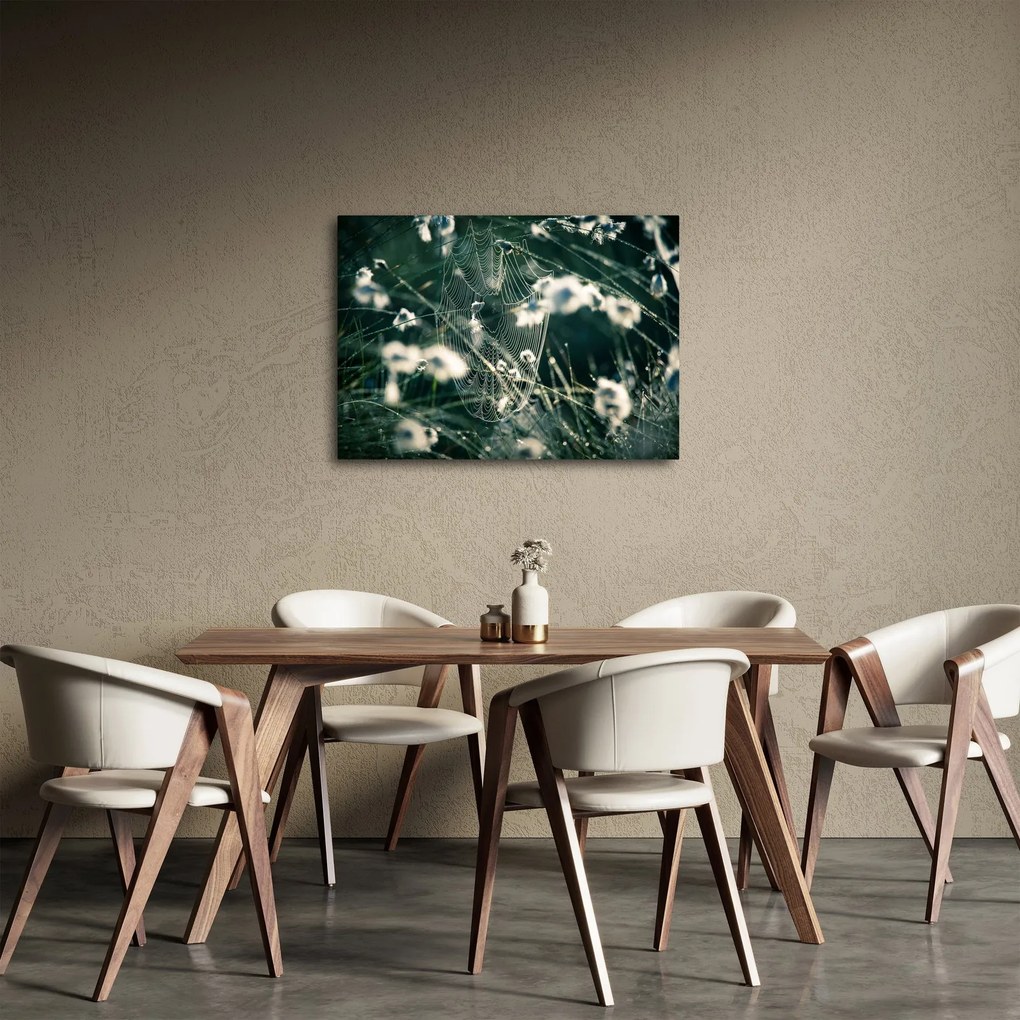 Kép - Pókháló (70x50 cm)