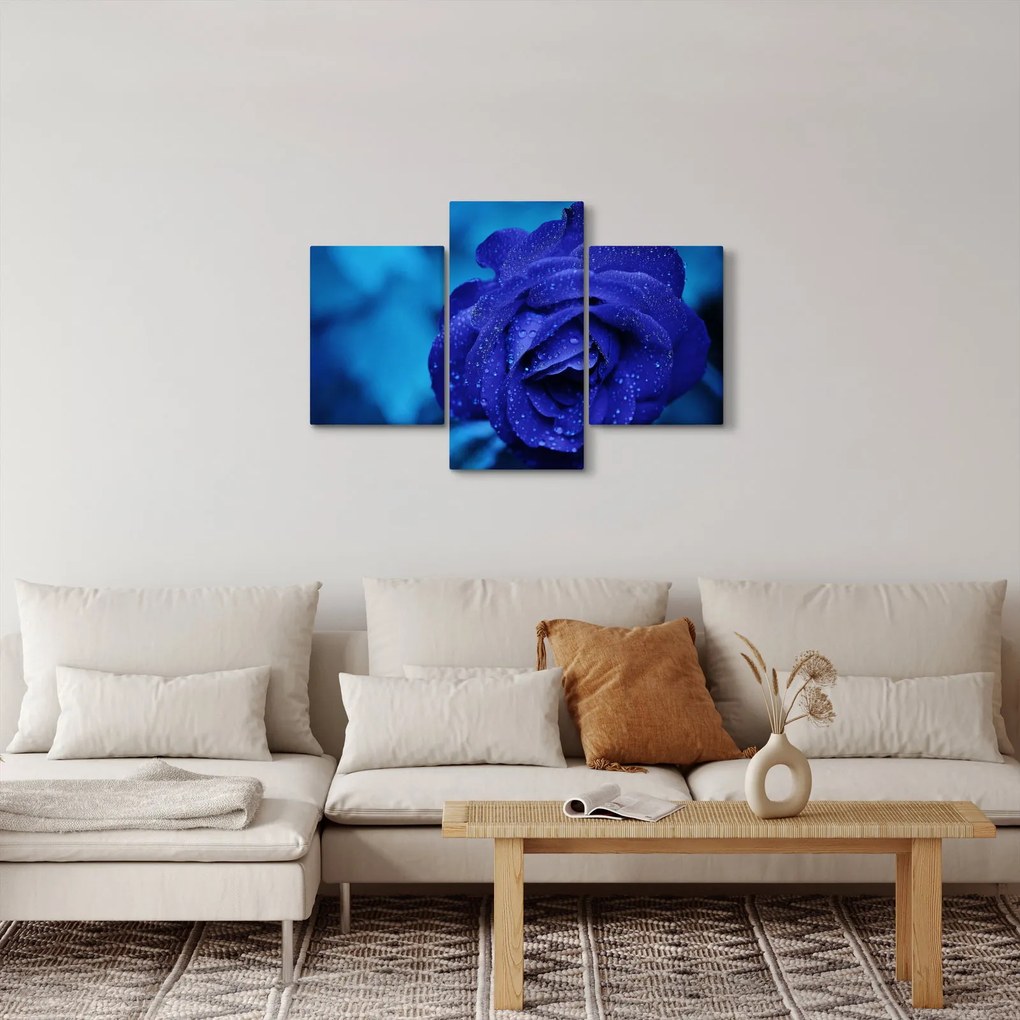 Kék rózsa képe (90x60 cm)