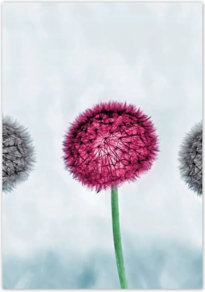 Poszterek 70x100 Szürke-lila