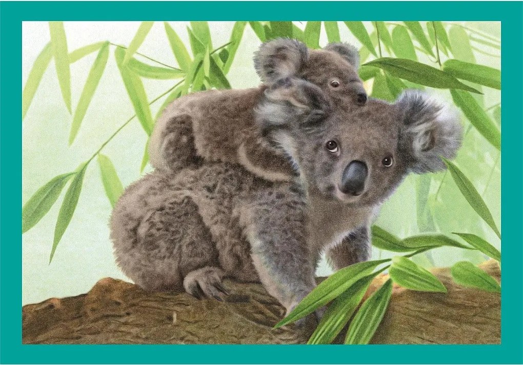 Állatos Baby Cuddles 4 az 1-ben puzzle Clementoni