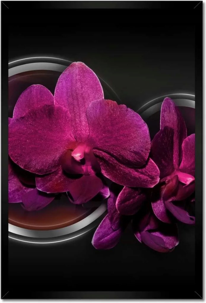 Poszter keretben 40x60 Orchidea Virág Virágok