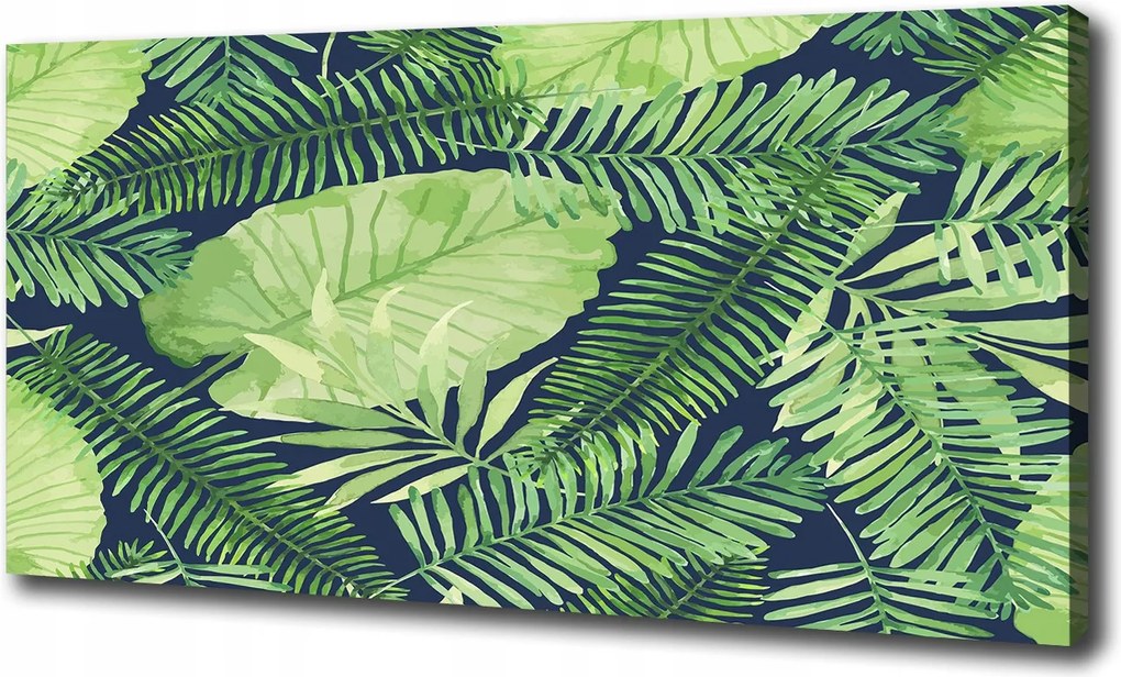 Vászonkép Trópusi levelek 100x70 cm