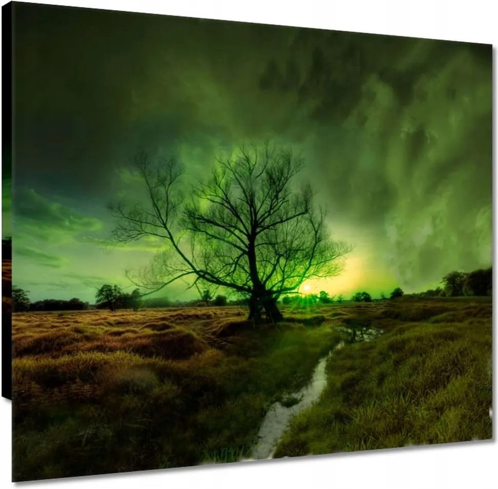 Vászonkép 50x50 Rogalin