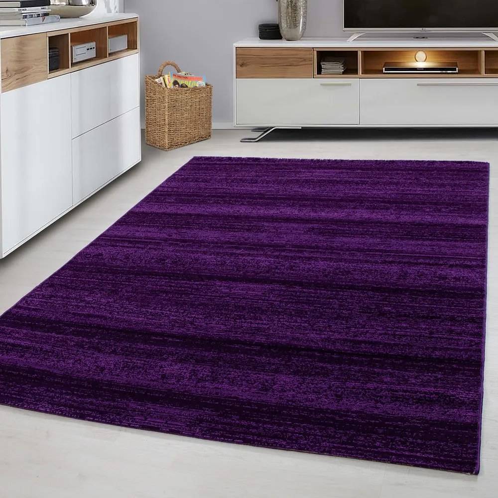 Sötétlila szőnyeg 140x200 cm Plus – Ayyildiz Carpets