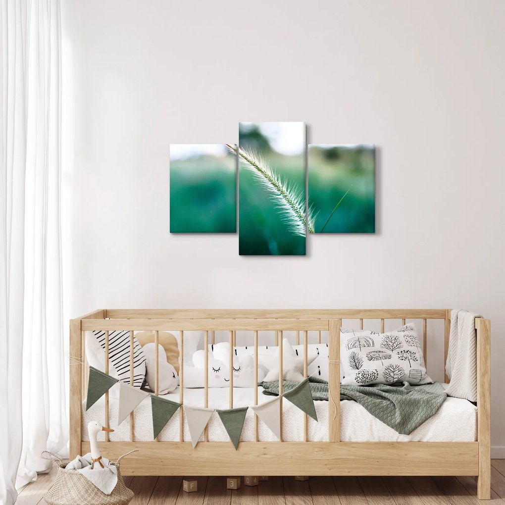 Fűszál képe (90x60 cm)