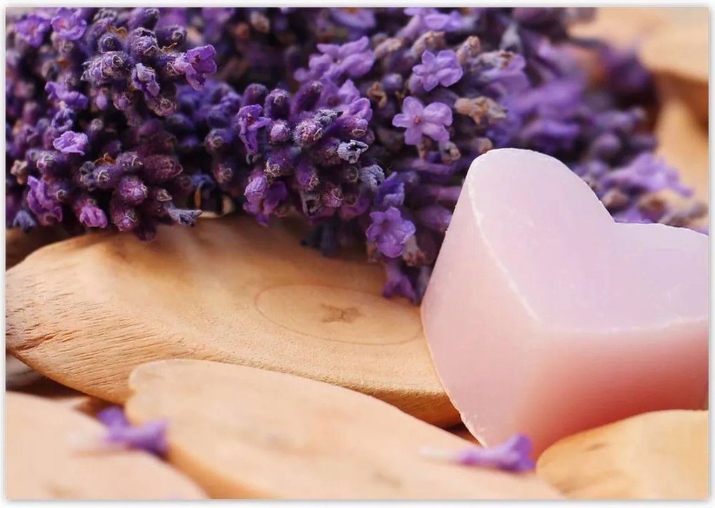 Plakátok 100x70 Levendula szív