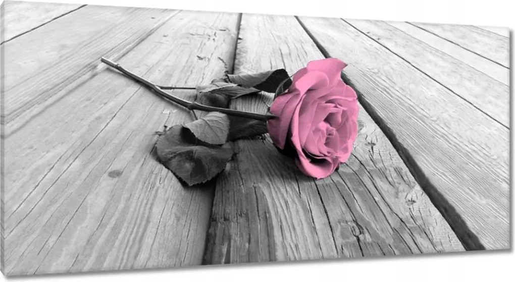 Vászonkép 115x55 Púderrózsa a deszkákon