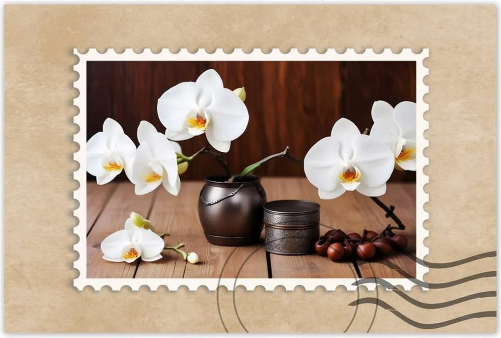 Poszterek 60x40 Fehér orchideák