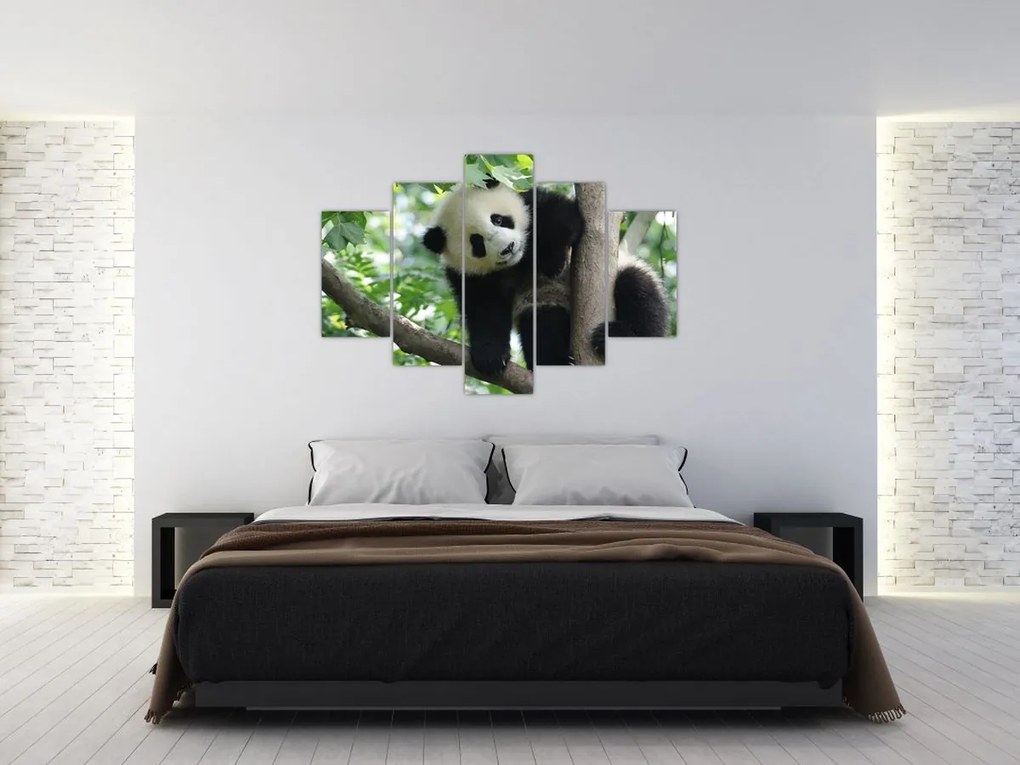 Kép - Panda a fán (150x105 cm)