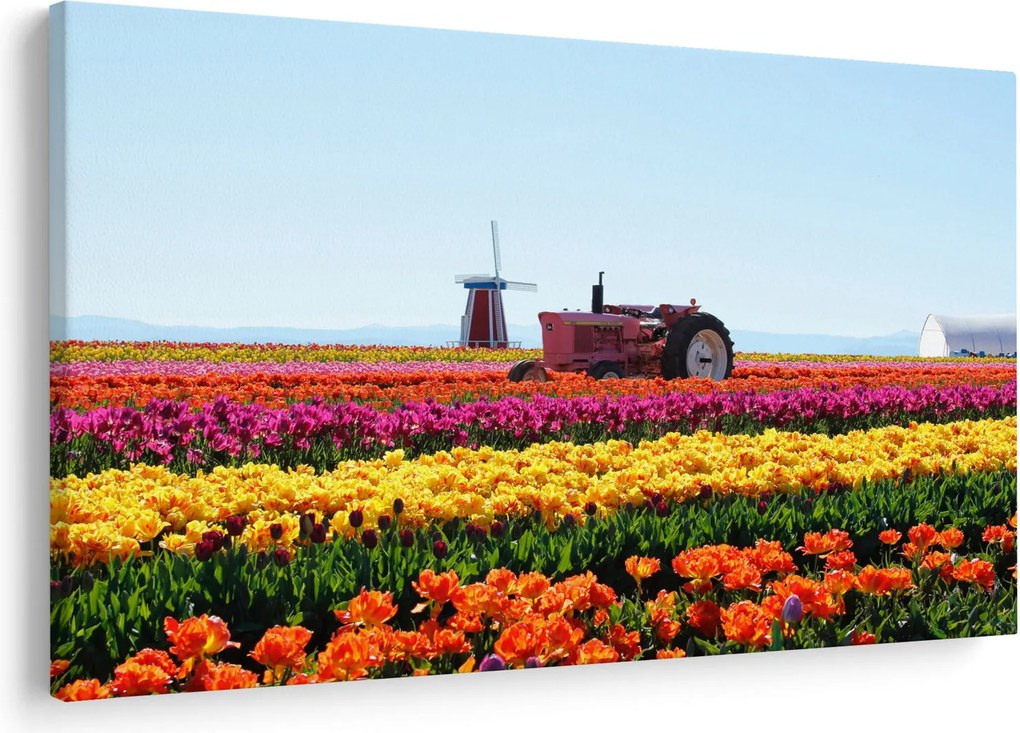 Tulipánfarm képe (90x60 cm)