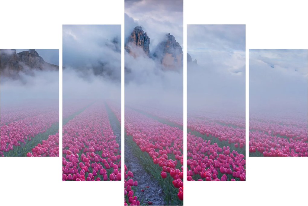 Kép - Tájkép tulipánmezőkkel (150x105 cm)