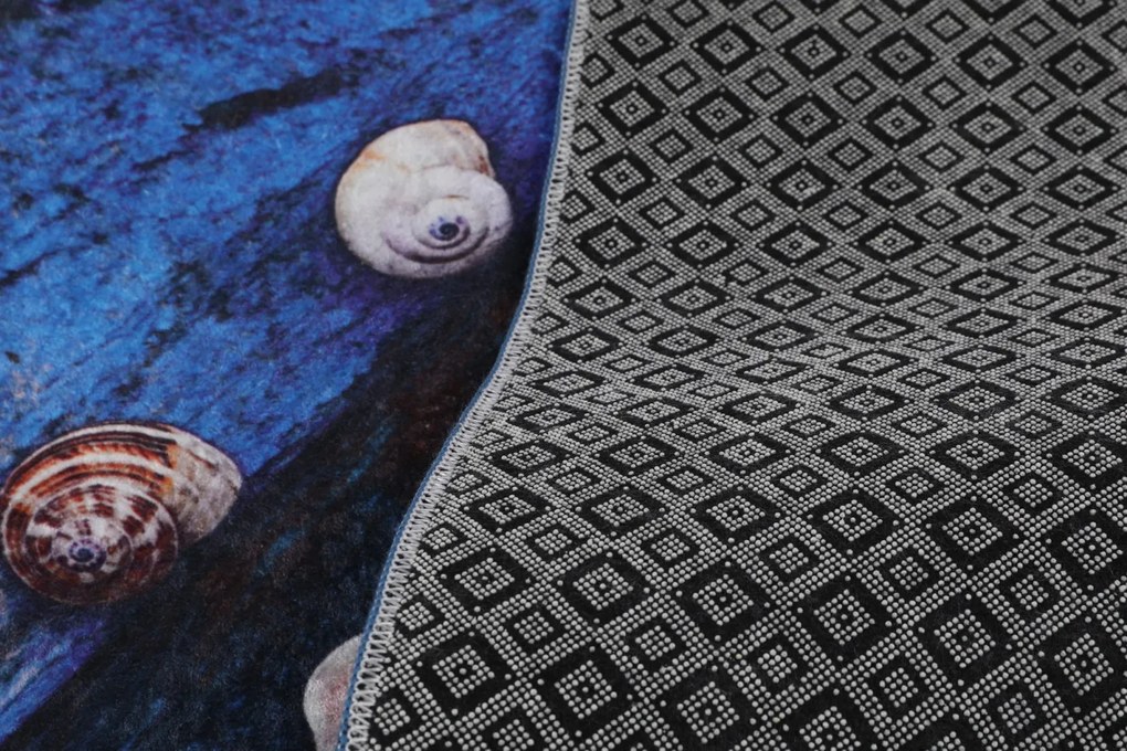 Seashell (70 x 120)