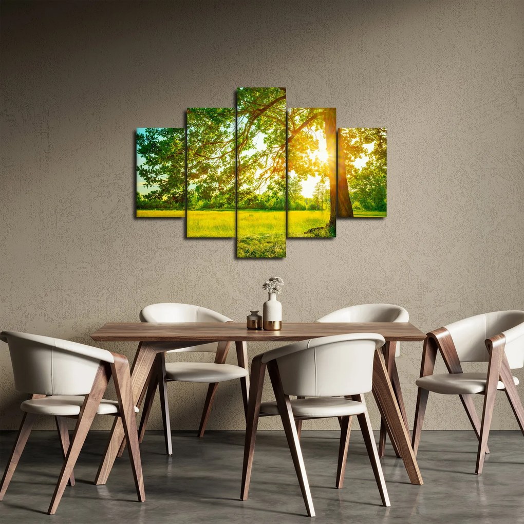 Kép - Sunny Forest (150x105 cm)