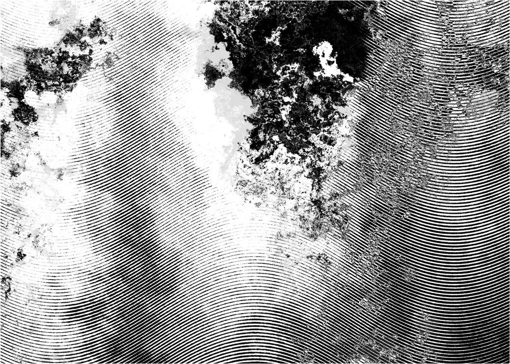 Kép - Kikeltetés (70x50 cm)