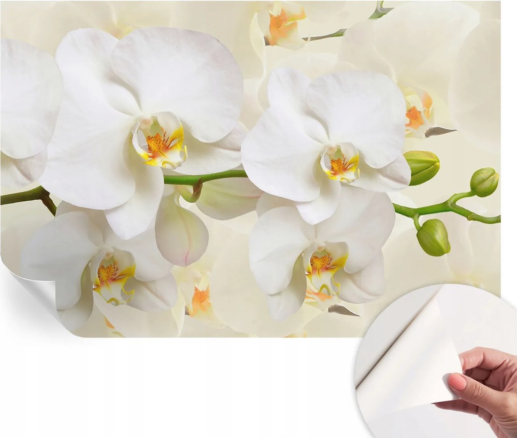 Öntapadós tapéta Fali furnér 3D hatás Virágos gazdagság 104x70 cm