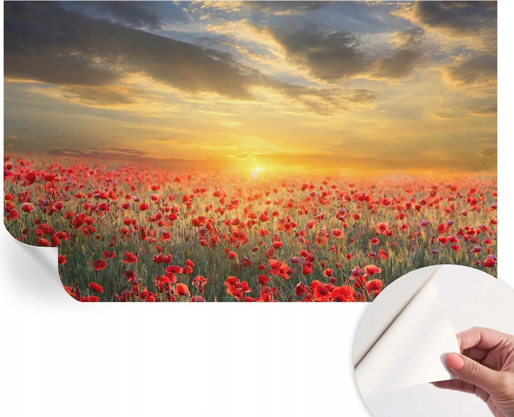 Dekoratív öntapadós fotótapéta Hálószobába pipacs mező 416x254 cm