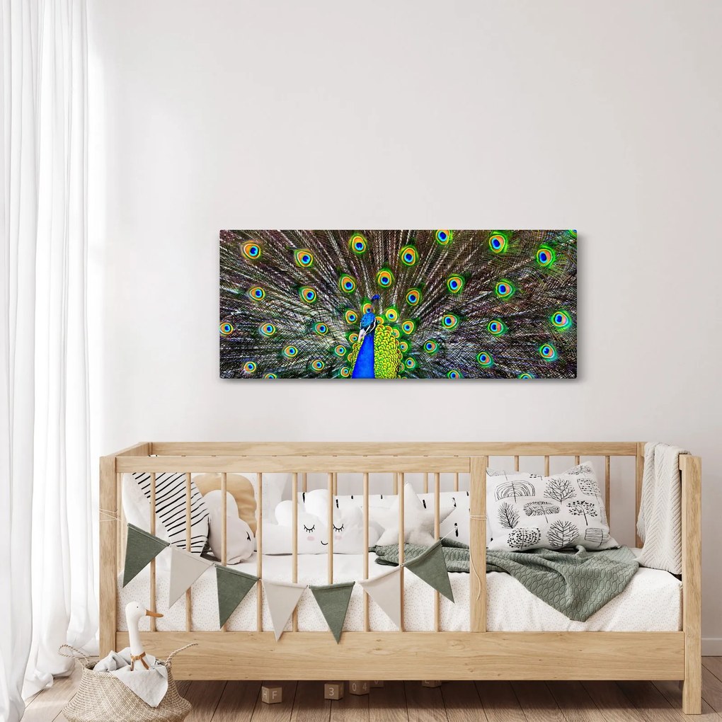Kép - Páva (120x50 cm)