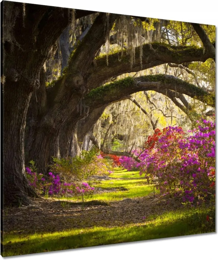 Vászonkép 90x90 Virágok a parkban