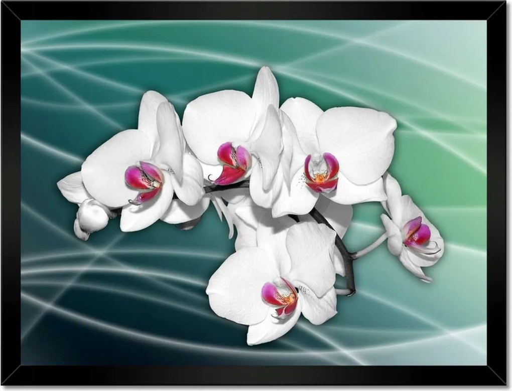 Poszterek keretben 40x30 Orchideák virágok zöld alapon