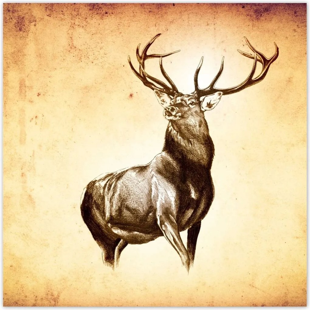 Poszterek 30x30 Szarvas szarvakkal