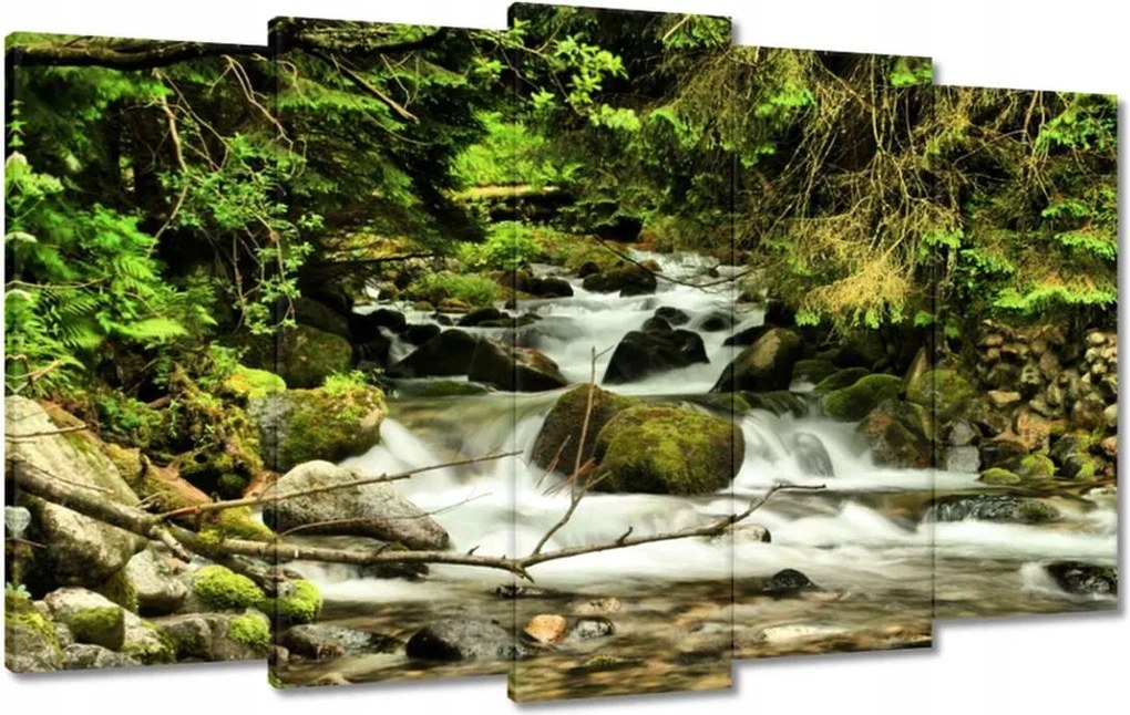 Vászonkép 100x60 Patak a hegyekben