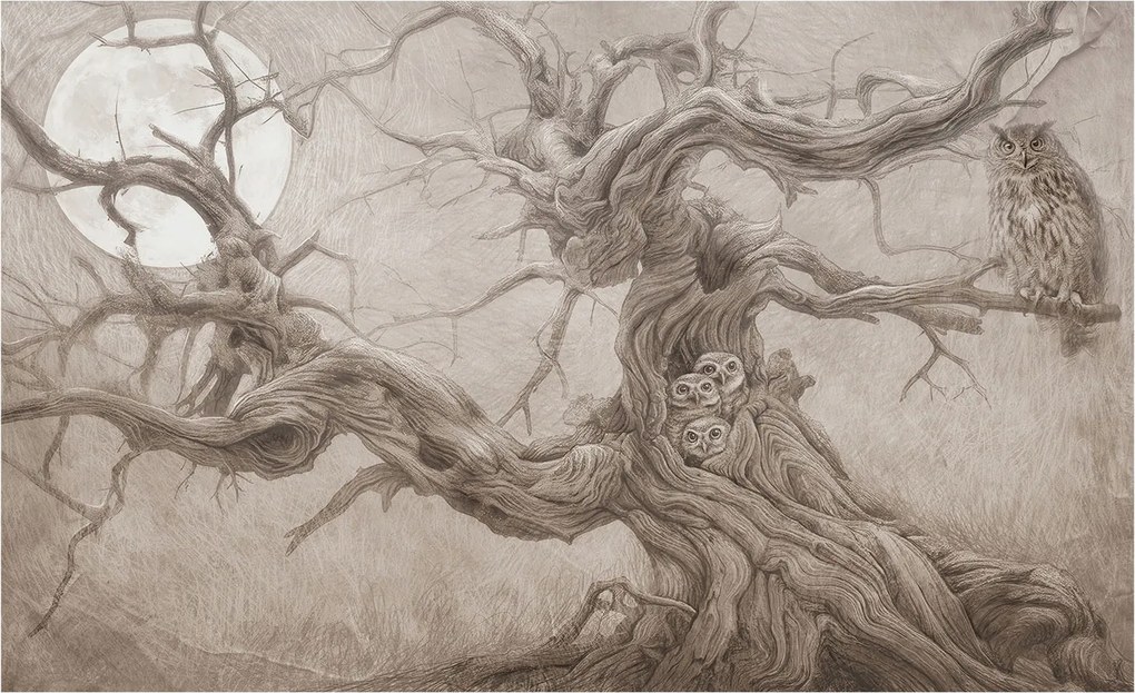 Fotótapéta Flizelina Nappali és Hálószoba Éjjeli madarak 416x254 Ragasztó