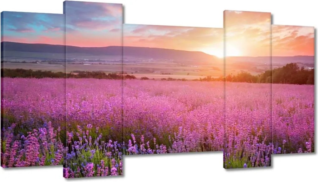 Képek 120x65 Nyugaton változatlan