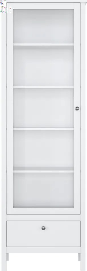 Vitrin 1W1S, fehér, OLJE