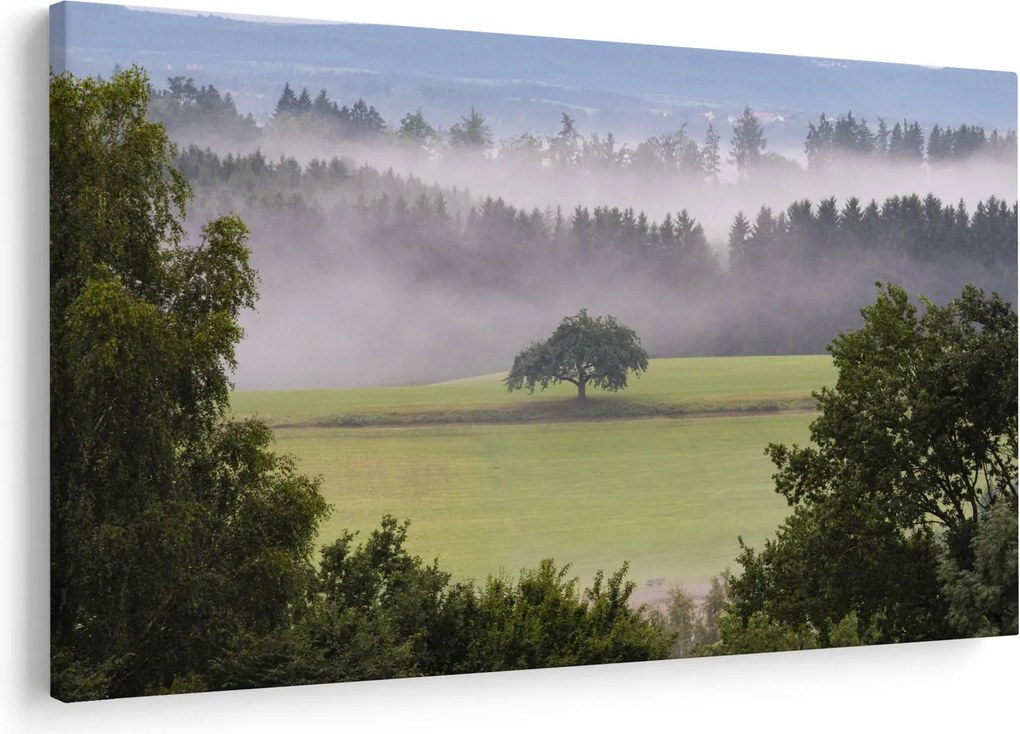 Egy kép a rétről egy fával (90x60 cm)
