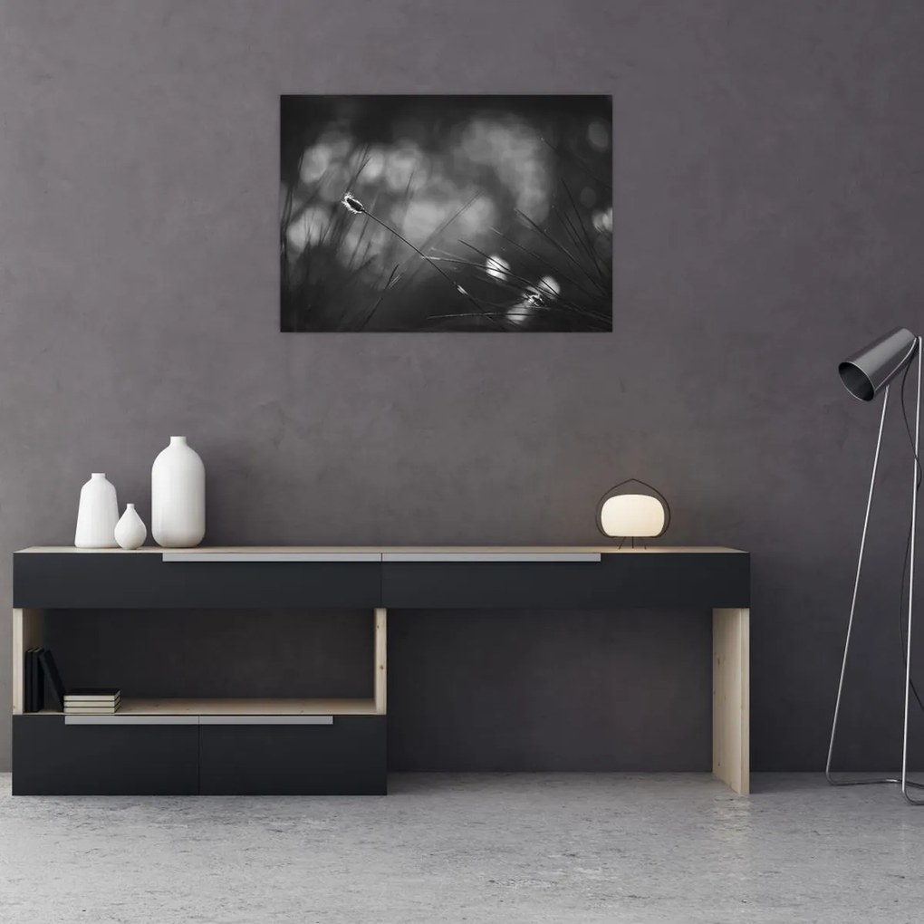 Kép - Mezei fű (70x50 cm)