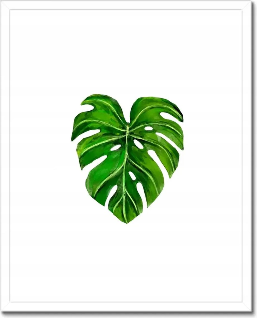 Poszterek keretben 40x50 Lyukas monsera levél