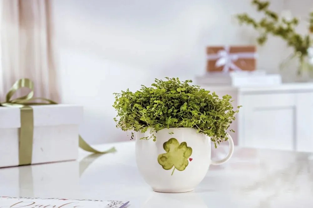 Gabonapehely tál With Love Good Luck 169 mm, 550 ml - Villeroy & Boch