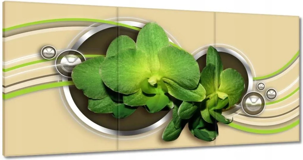 Vászonkép 180x90 Zöld orchidea