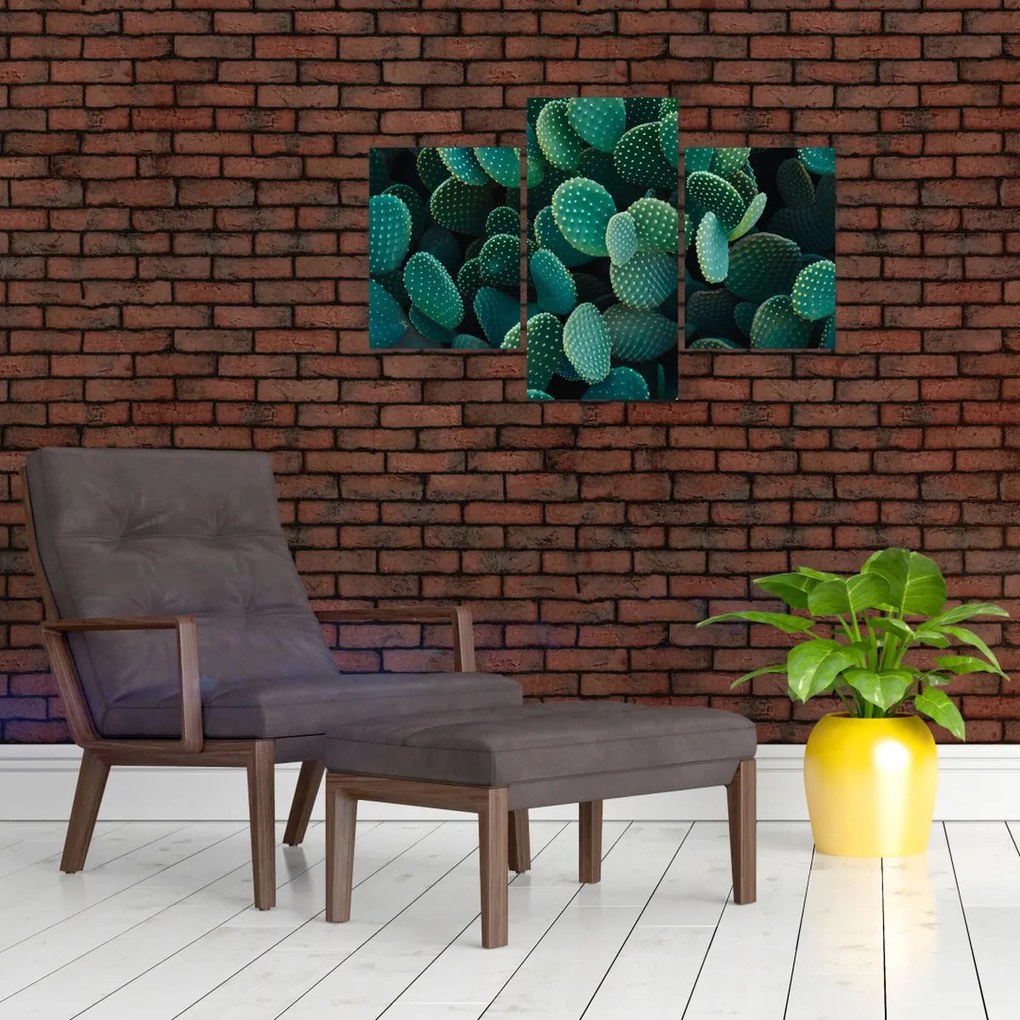 Kép - Opuntia (90x60 cm)