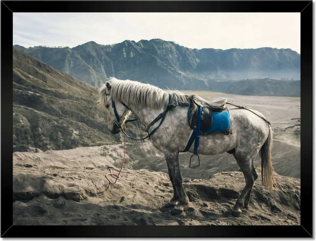 Poszterek keretben 40x30 Ló expedíció a hegyekbe