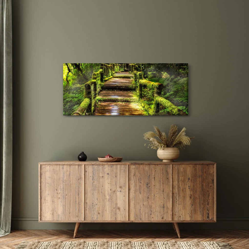 Lépcső az esőerdőben képe (120x50 cm)