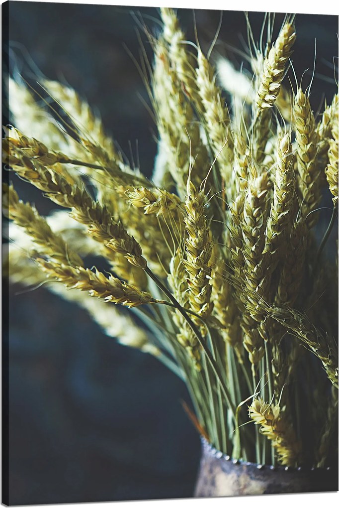 Botanika Vászonkép Búza váza 80x120 cm