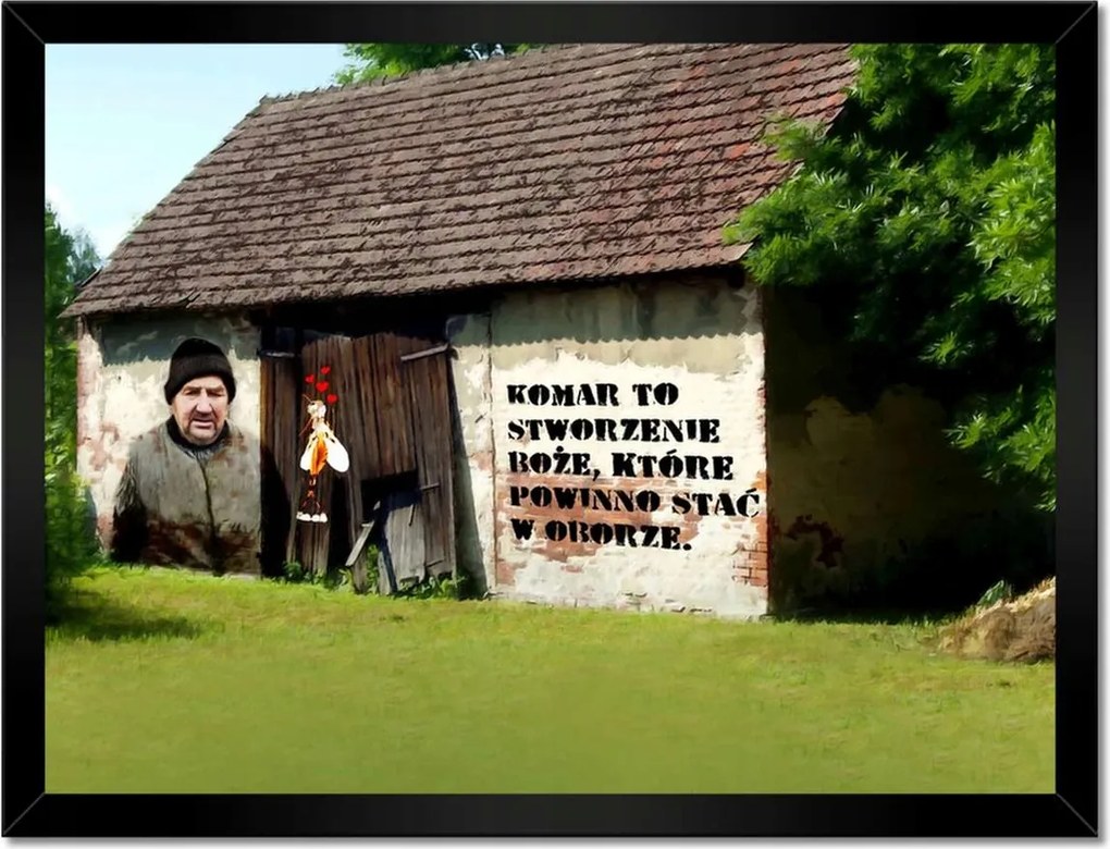 Poszterek keretben 40x30 Gazdák Szúnyog Alföld