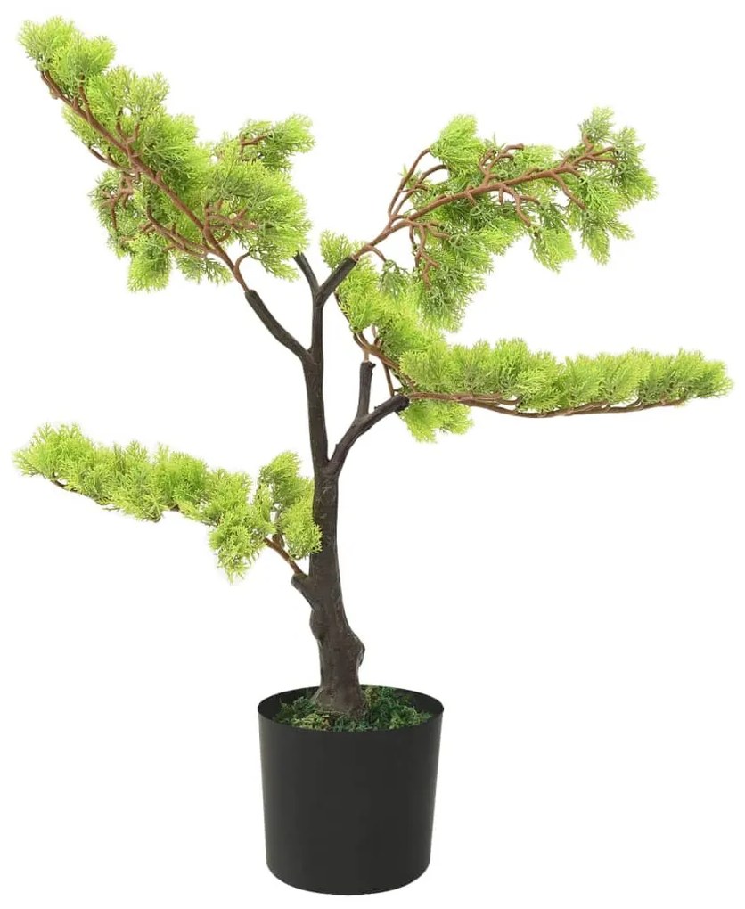 zöld cserepes mű ciprusbonsai 60 cm