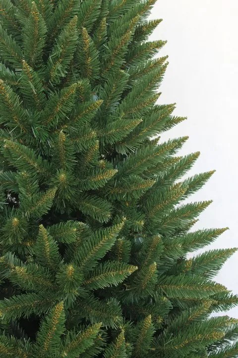 Karácsonyfa Kaukázusi Lucfenyő 240cm Premium