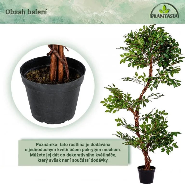 PLANTASIA Műnövény fikusz 160 cm