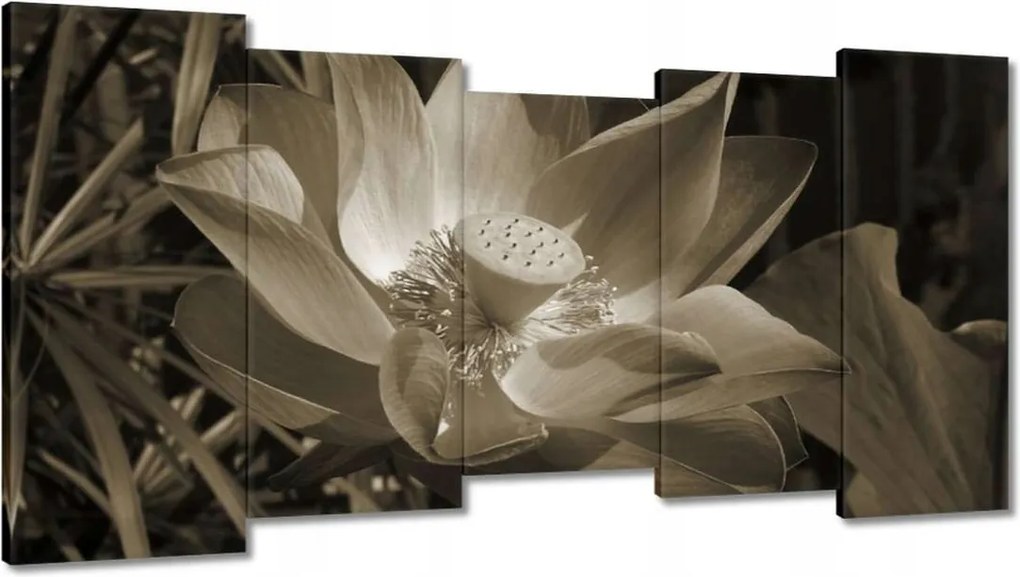 Vászonkép 150x80 Lótusz Lótuszvirág