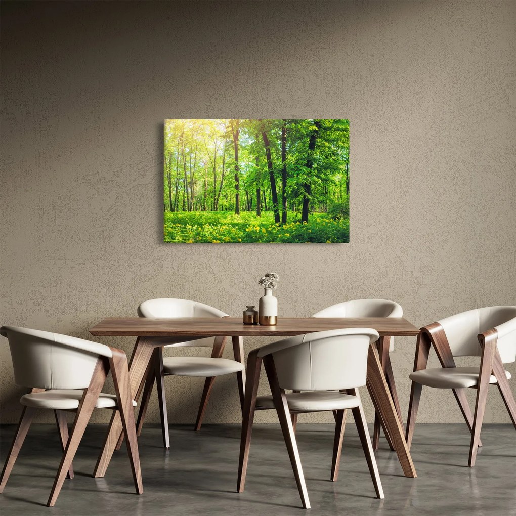 Kép - Tavaszi lomberdő (90x60 cm)