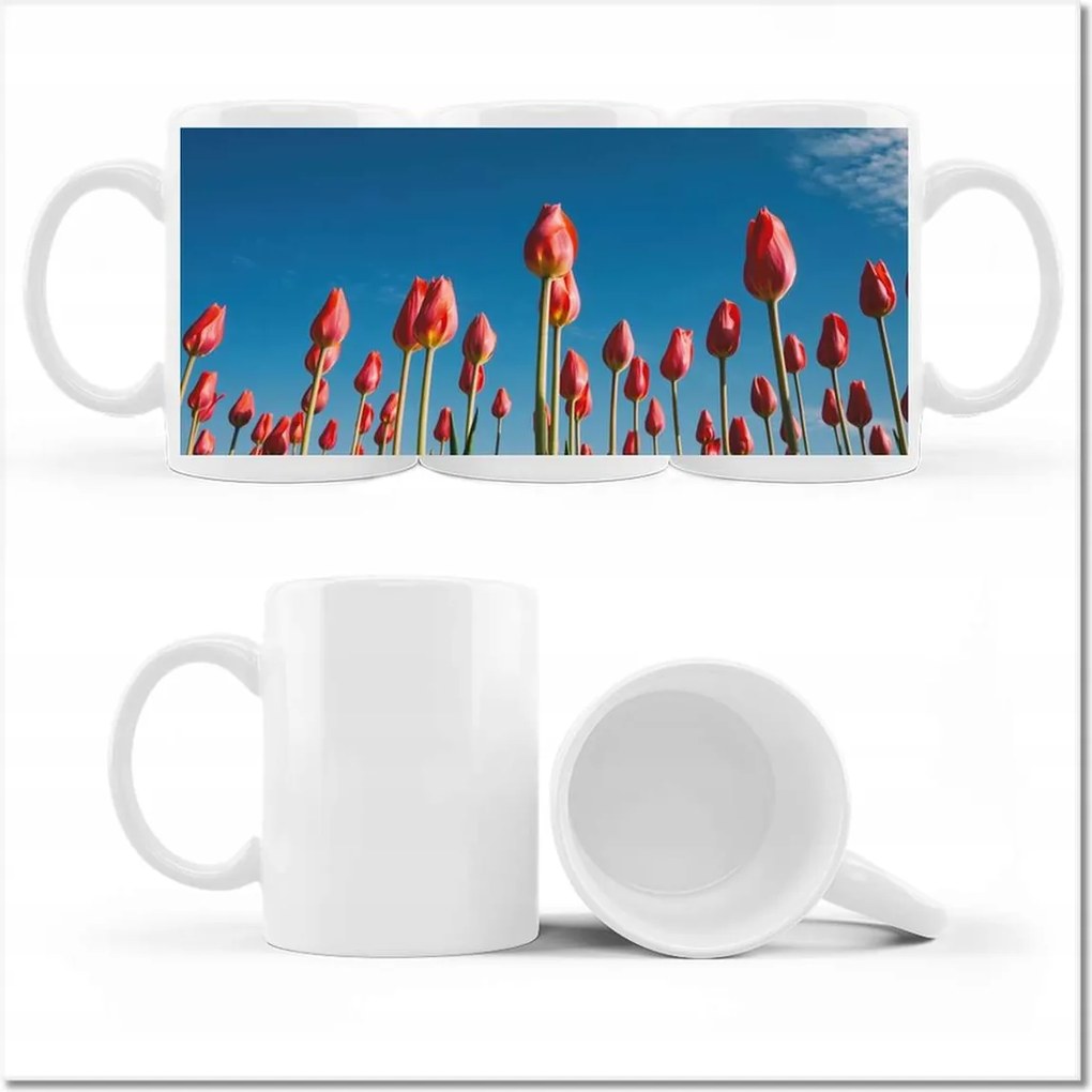 Tulipán fényképes bögre Tájkép Tulipánok